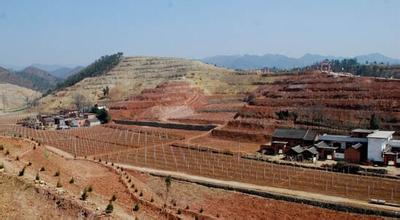 战旗原始传奇直播平台