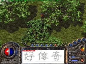 ��Ѫ����Ӣ�ۺϻ�