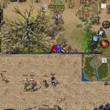 �¿�1.76��Ұ洫��