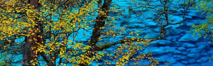 风云无双假人陪玩