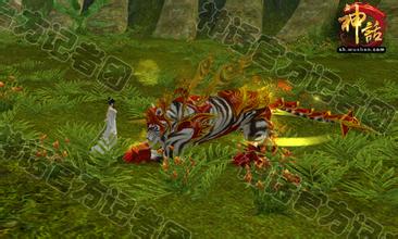 传奇十大家族天家军