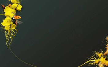 最新开变态传奇私服